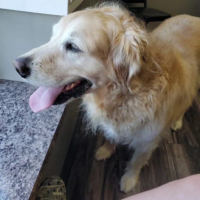 North Stewart Veterinary Clinic Picture 6