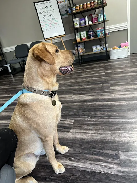 North Stewart Veterinary Clinic Picture 5