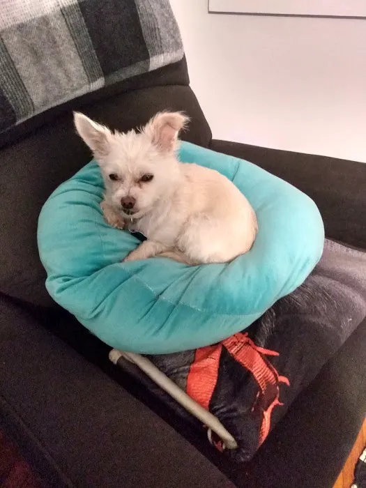 North Stewart Veterinary Clinic Picture 10