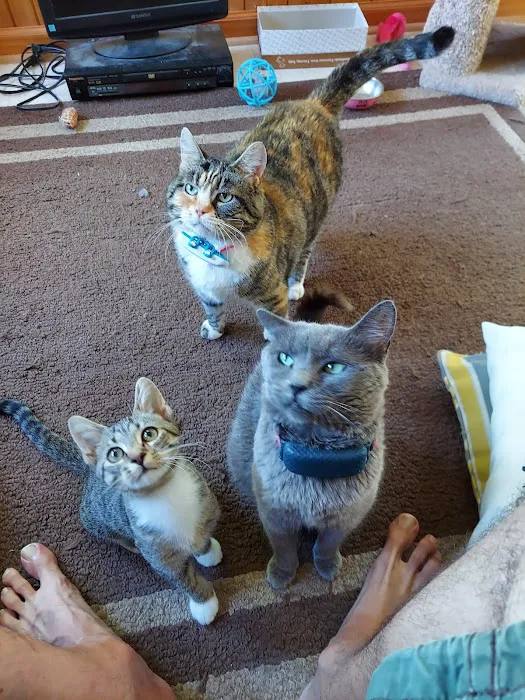 North Stewart Veterinary Clinic Picture 8