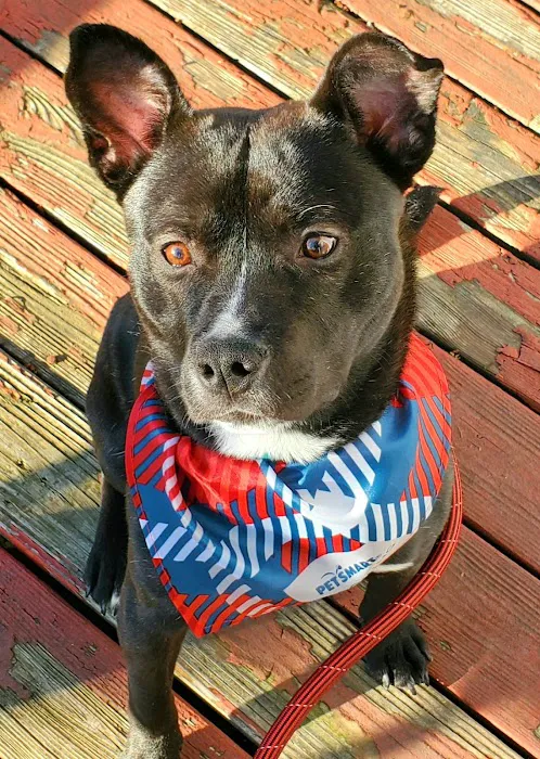 Gibson County Animal Clinic Picture 1