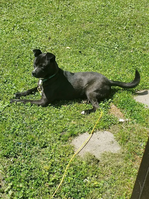 Gibson County Animal Clinic Picture 2