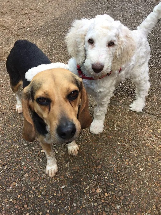 Gibson County Animal Clinic Picture 5