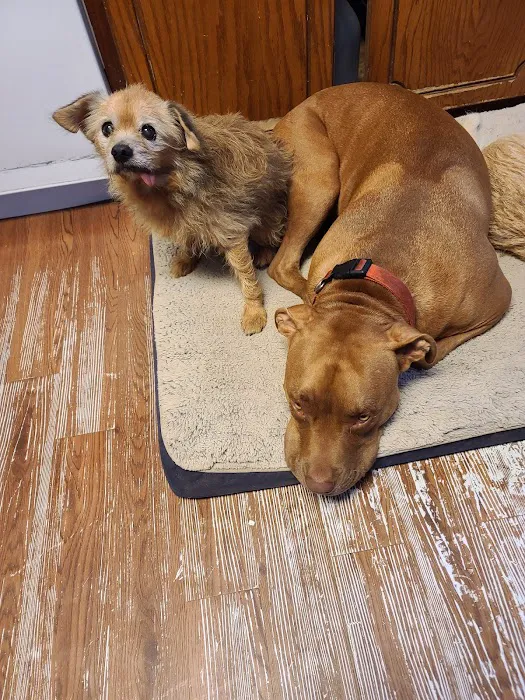 Gibson County Animal Clinic Picture 6