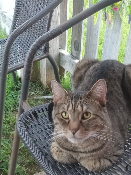 Three Way Animal Clinic Picture 1