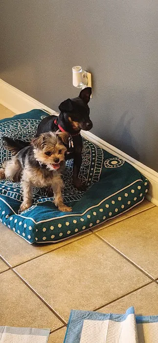 Three Way Animal Clinic Picture 2