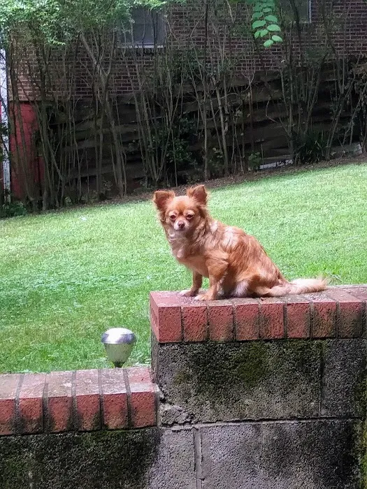 Three Way Animal Clinic Picture 3