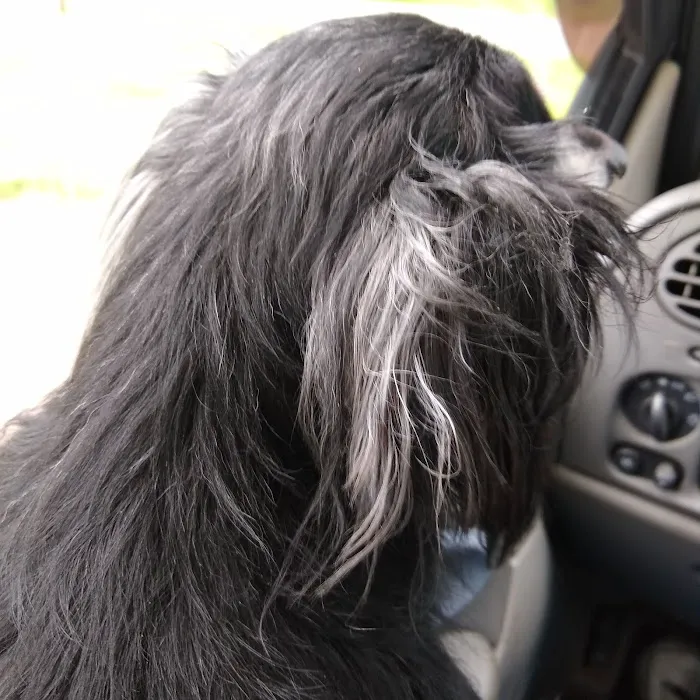 Three Way Animal Clinic Picture 5