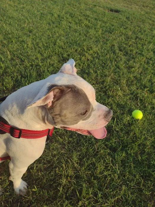 Northside Animal Clinic Picture 8