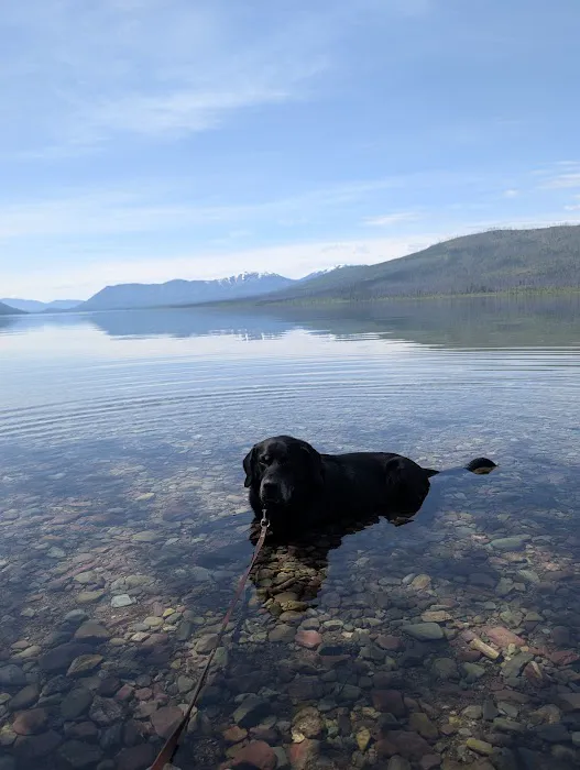 Northside Animal Clinic Picture 10