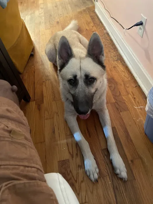 Deming Veterinary Services Picture 4