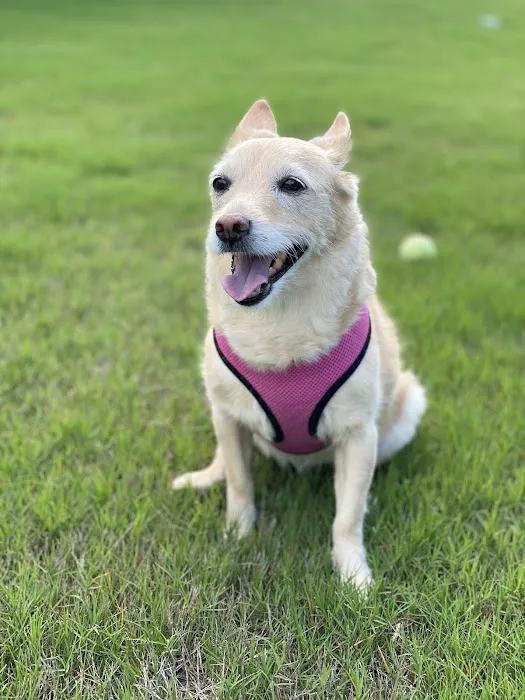 Jackson Pet Emergency Clinic Picture 2