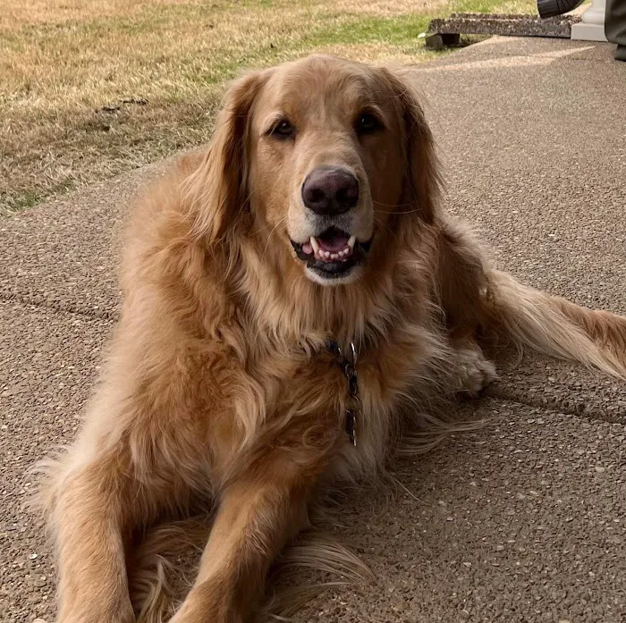 Jackson Pet Emergency Clinic Picture 9