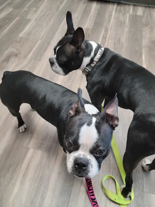 North Madison Animal Hospital Picture 3