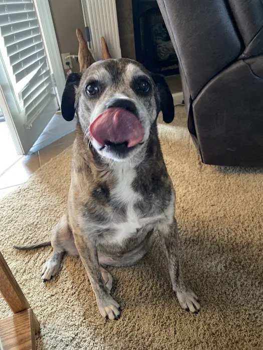 North Madison Animal Hospital Picture 5