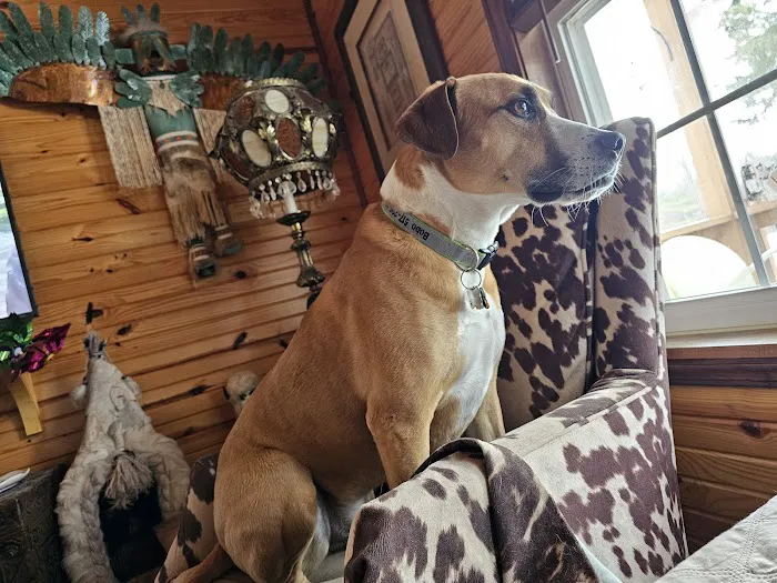 North Madison Animal Hospital Picture 9