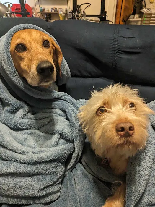 North Madison Animal Hospital Picture 10