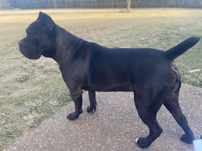 North Madison Animal Hospital Picture 8