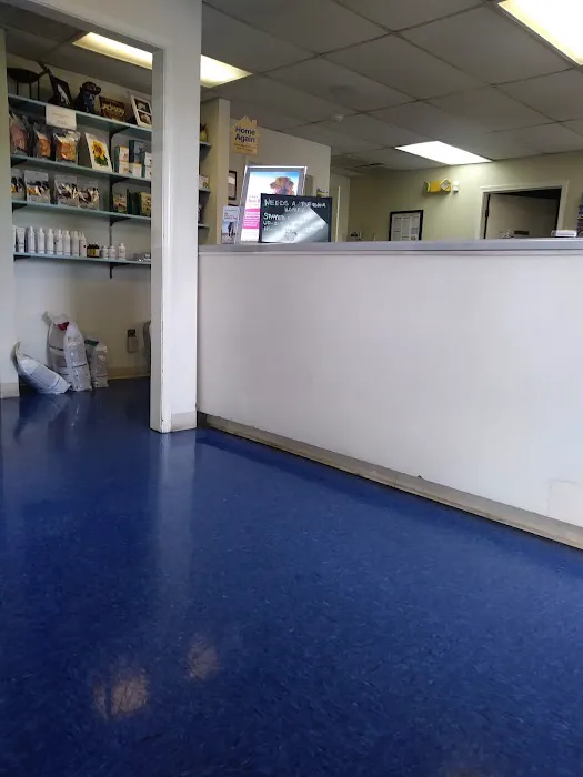 North Madison Animal Hospital Picture 7