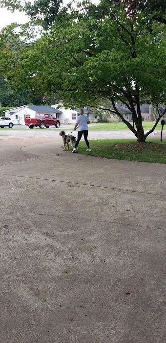 Pet Wellness Clinic, Inc. Picture 3