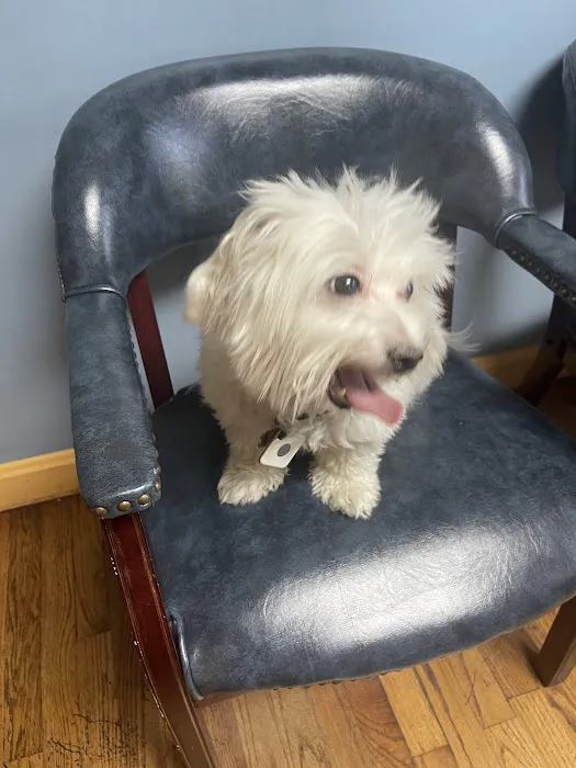 Pet Wellness Clinic, Inc. Picture 7