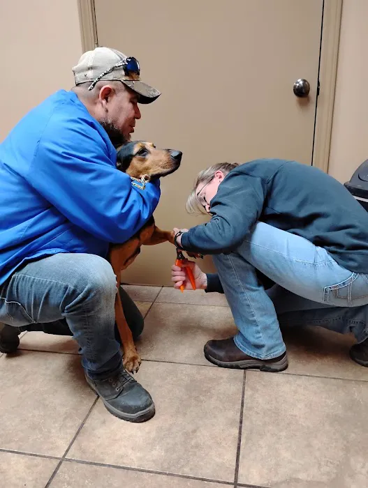 My Animal Hospital Picture 6