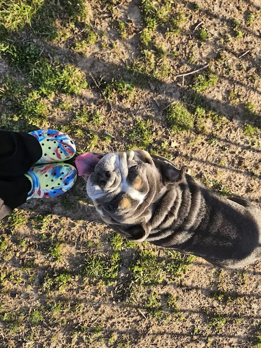 My Animal Hospital Picture 10