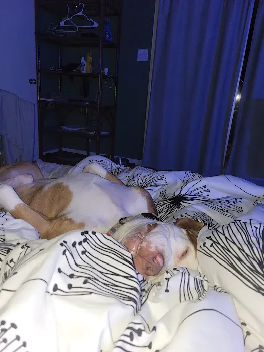 My Animal Hospital Picture 8