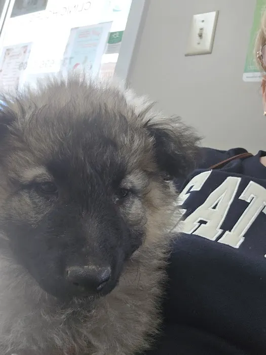 Alamo Animal Clinic Picture 7