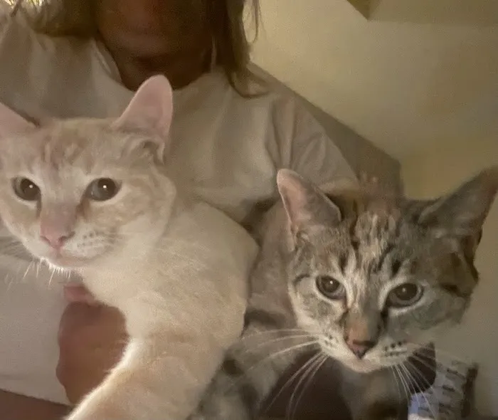 Alamo Animal Clinic Picture 6