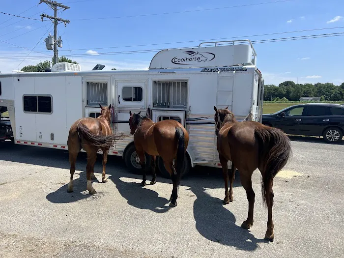 Alamo Animal Clinic Picture 9
