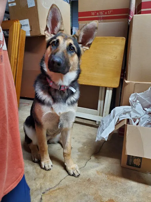 Bells Animal Clinic Picture 1