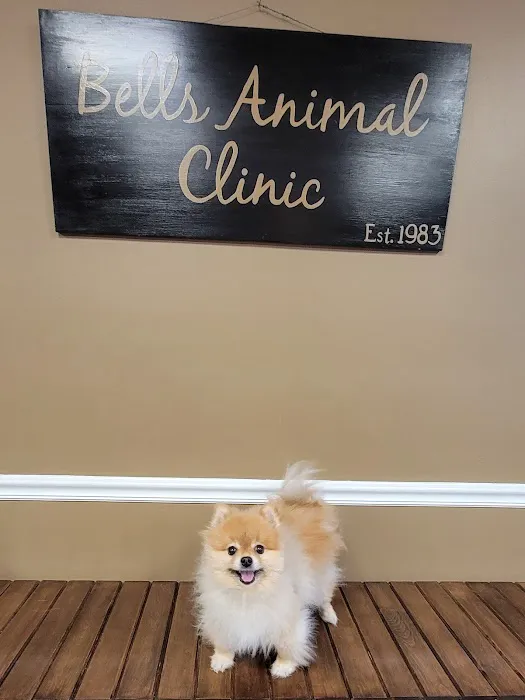 Bells Animal Clinic Picture 5
