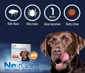 Holstein Veterinary Clinic Picture 2