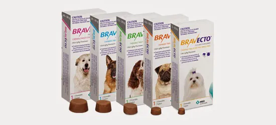 Holstein Veterinary Clinic Picture 1