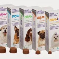 Holstein Veterinary Clinic ico