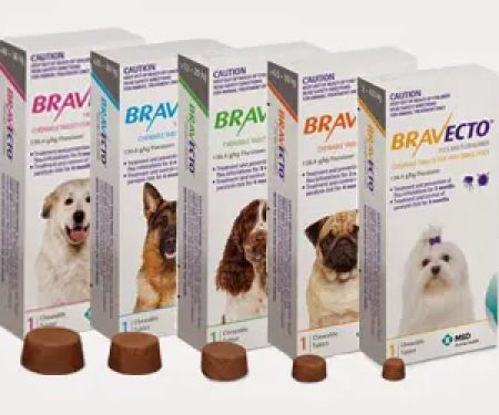 Holstein Veterinary Clinic