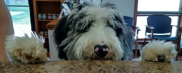 Holstein Veterinary Clinic Picture 6