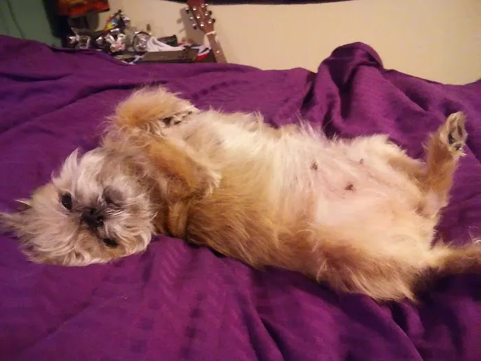 Thone Animal Hospital Picture 7