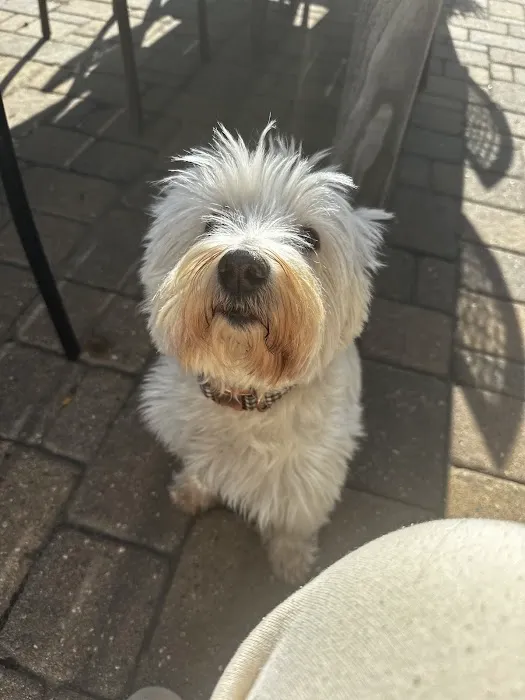 Thone Animal Hospital Picture 9