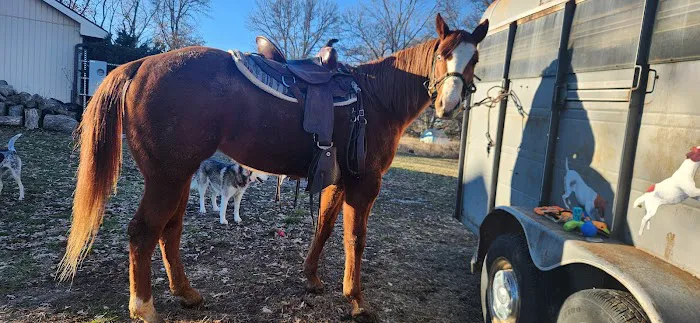 Nebraska Equine Veterinary Clinic Picture 1