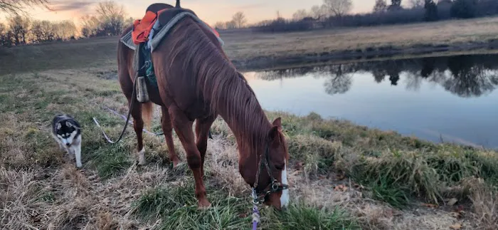 Nebraska Equine Veterinary Clinic Picture 3