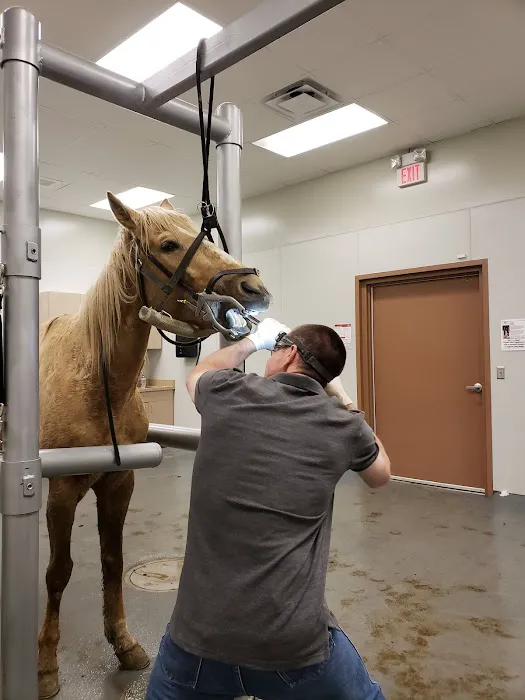 Nebraska Equine Veterinary Clinic Picture 2