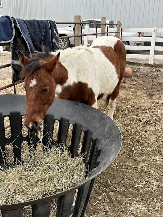 Nebraska Equine Veterinary Clinic Picture 7