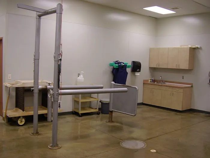 Nebraska Equine Veterinary Clinic Picture 9