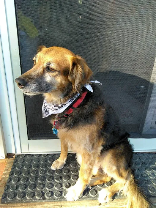 Benson Animal Clinic Picture 5