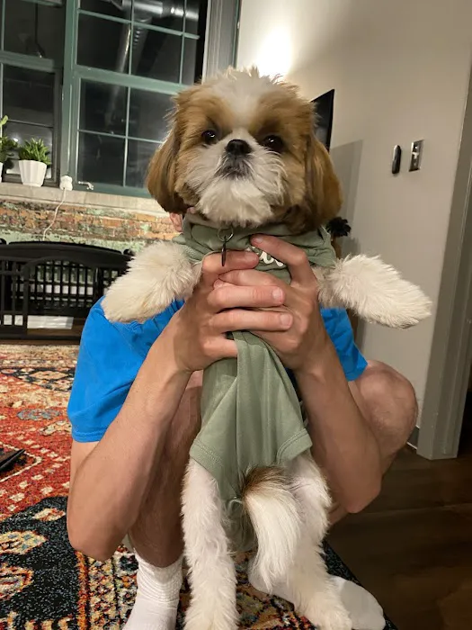 Benson Animal Clinic Picture 1