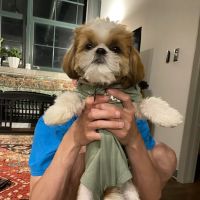 Benson Animal Clinic ico