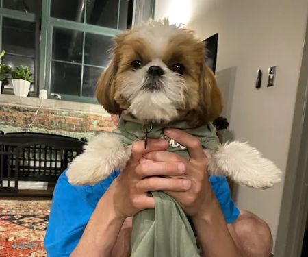 Benson Animal Clinic