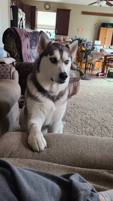 Benson Animal Clinic Picture 4